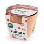 Radis et Capucine - Kit Tomate Cerise Bio - Pot en Terre Cuite Antique - 13 cm - MEDIA_3D